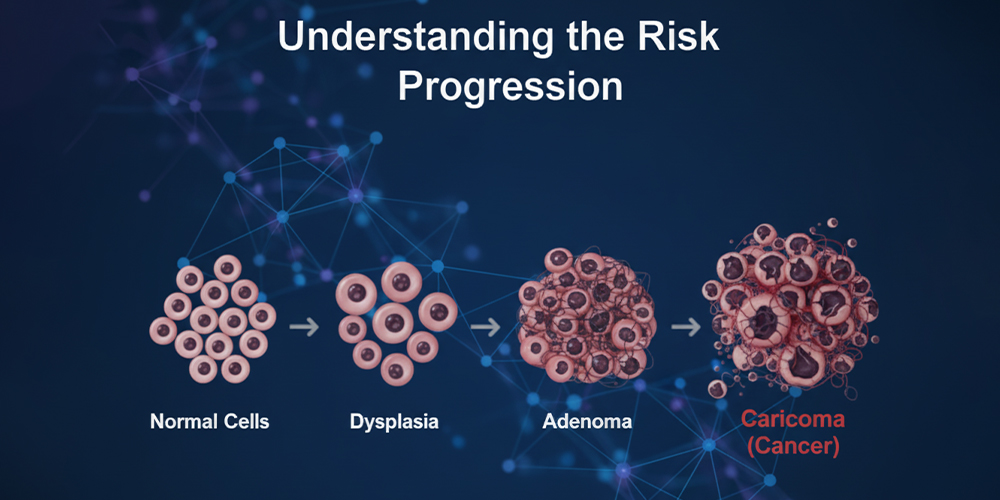 Understanding the Risk Progression